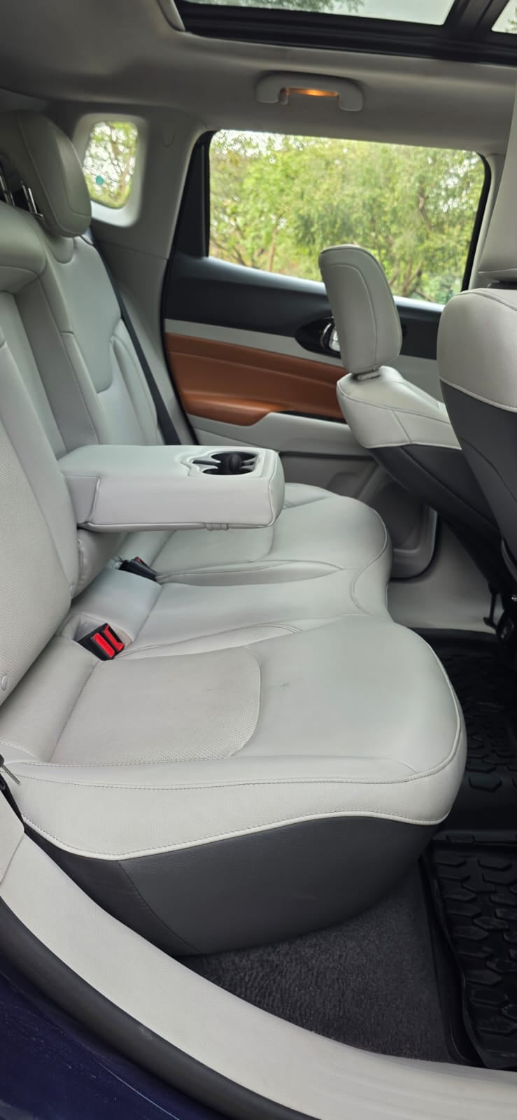 Back seat of a car with a cup holder and armrest, surrounded by greenery outside the window.