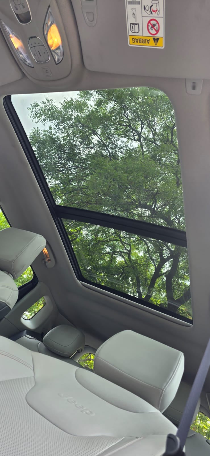 Car interior with a view of trees through the window